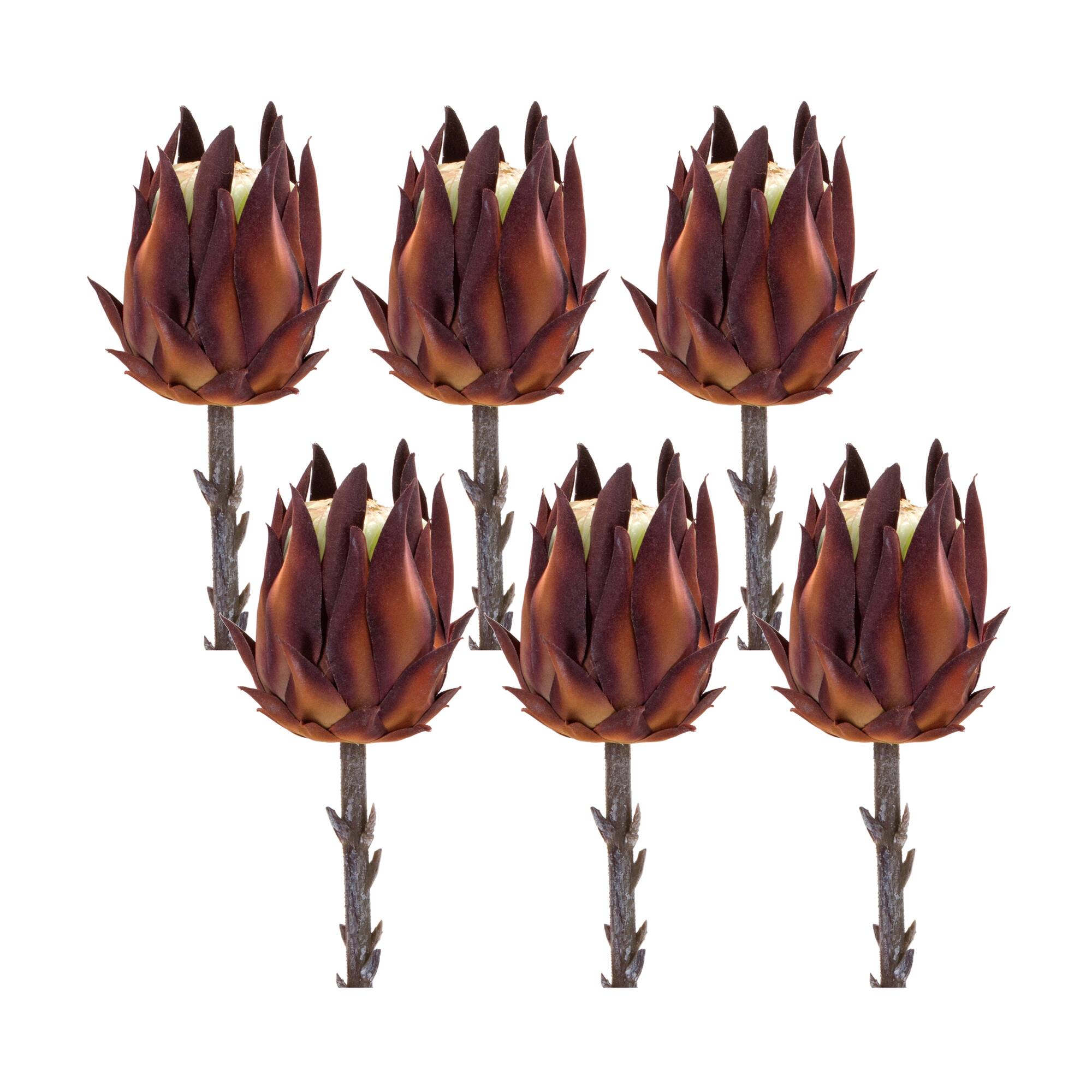 Orange Protea Stem, 6ct.